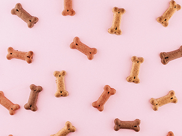 Comida para mascotas